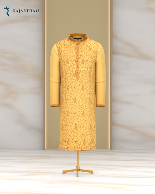 Luxury Panjabi